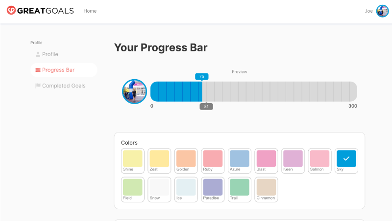 application progress bar settings page